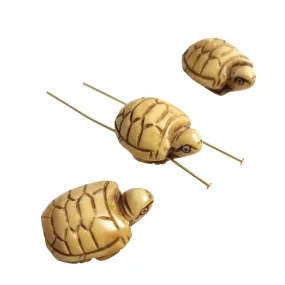 Carved Bone Beads Turtles Chinese