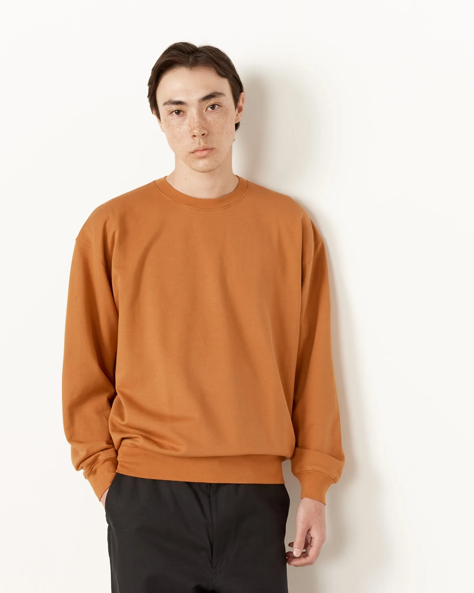 Super Gauze Sweat Pullover in Light Brown