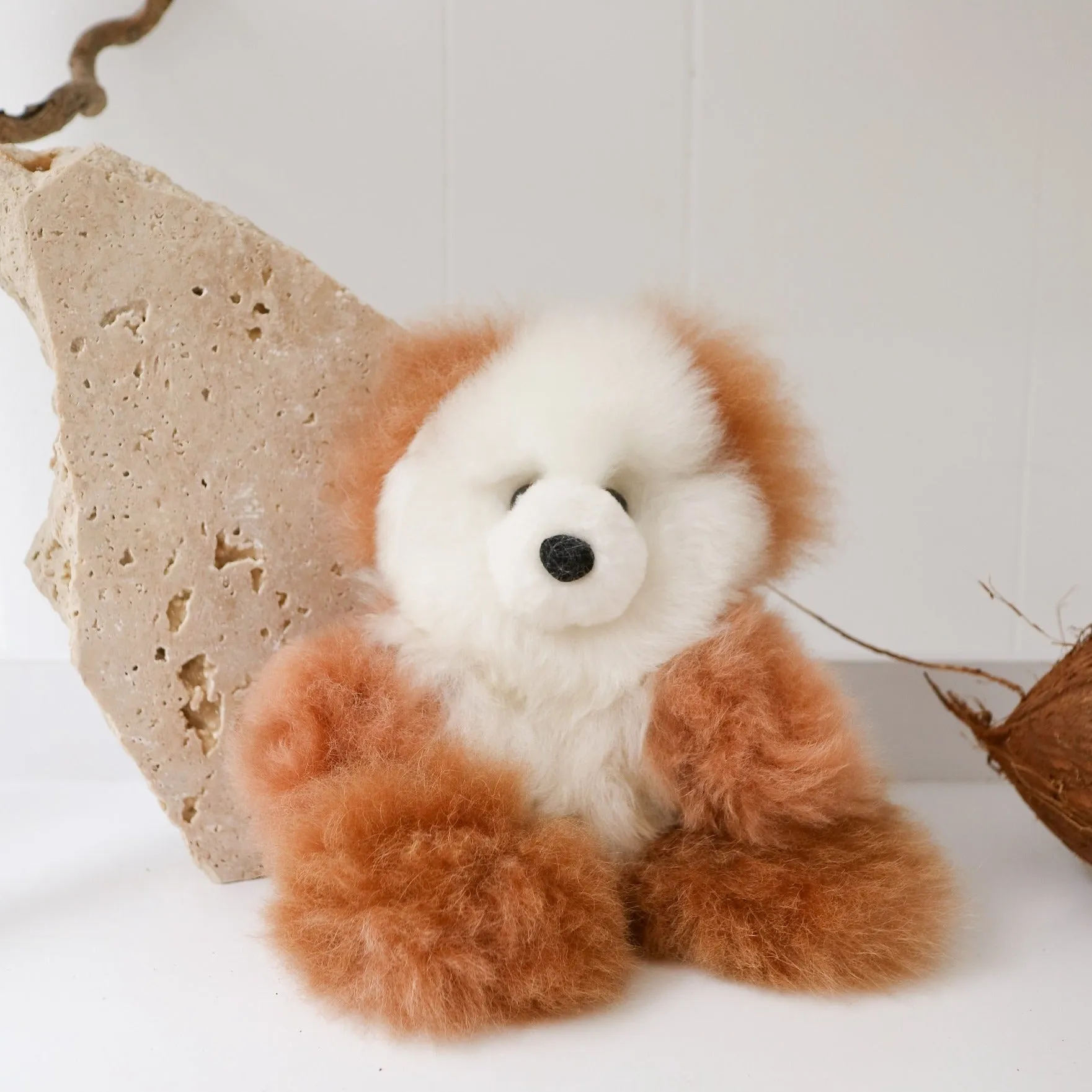 Toy Bear - Huacaya - Small